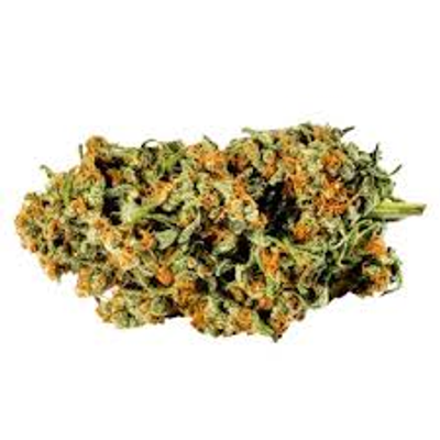 Redecan Frosted Animal Cake Dried Flower