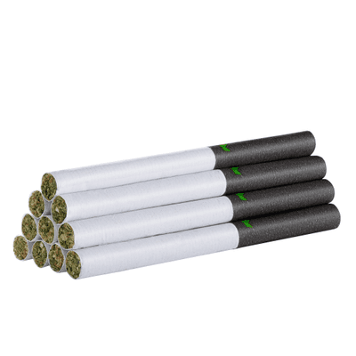 Redecan Royal Collection Dartz Pre Rolls