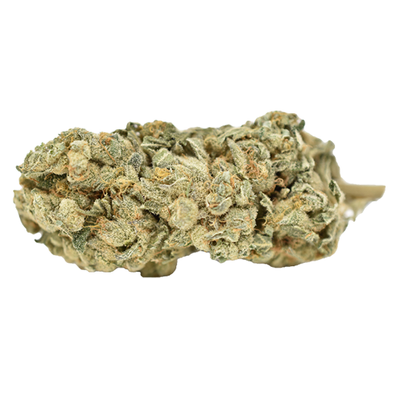 Weed Me Blue Iguana Dried Flower