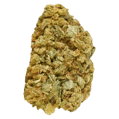 Good Supply Master Mazar Kush Dried Flower